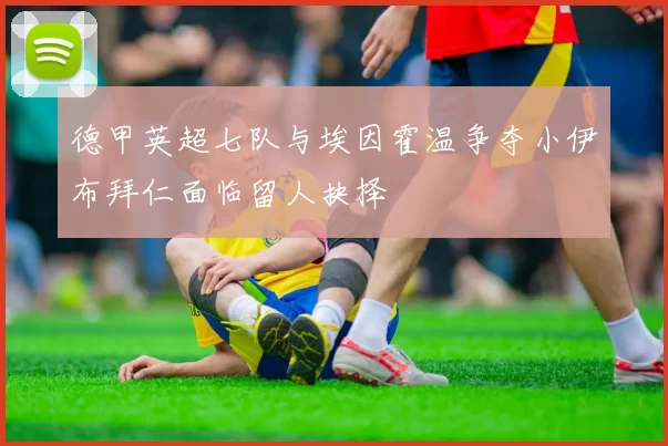 德甲英超七队与埃因霍温争夺小伊布拜仁面临留人抉择